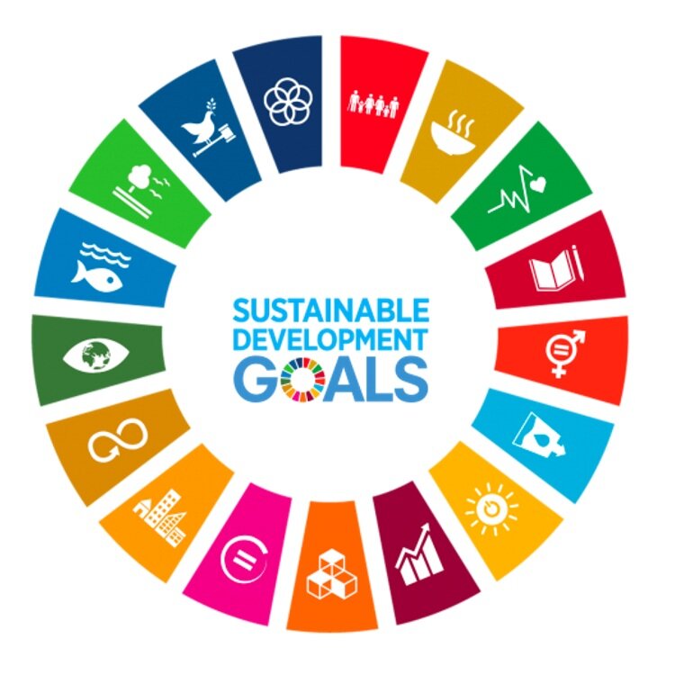 宅配 iGEM & Blog iGEM — Goals Development Sustainable the 球技・スポーツ